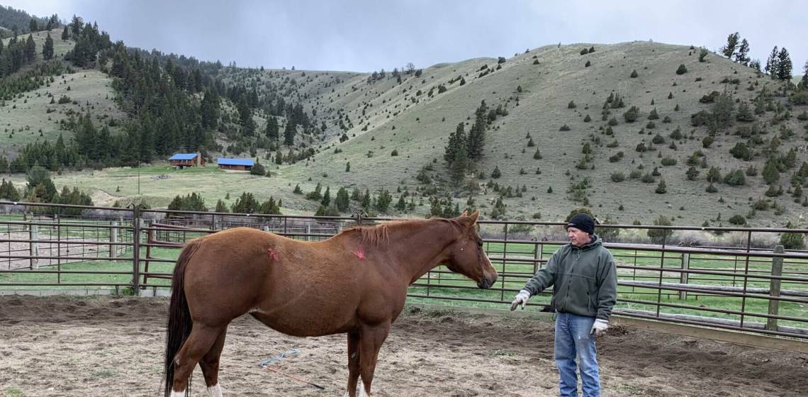 Pack Animal Operations